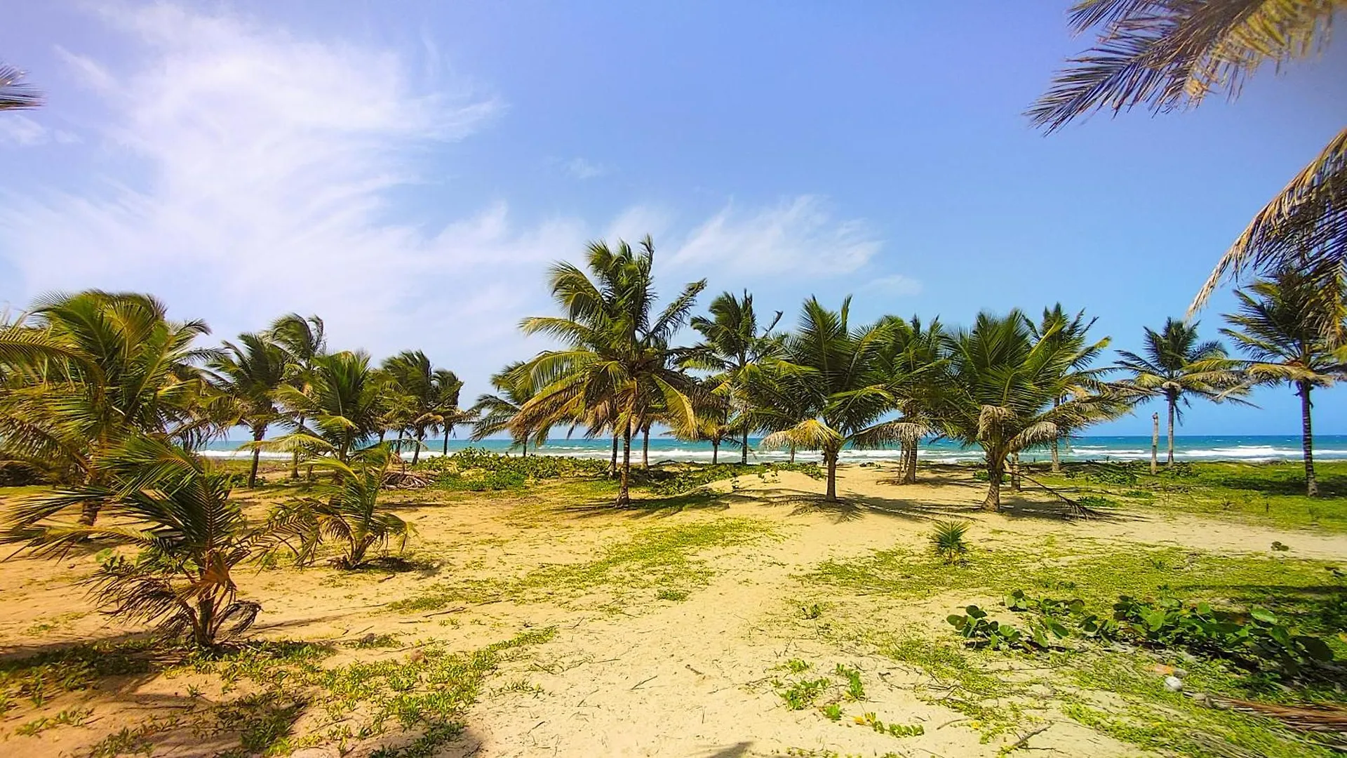 Holiday home Brisa Atlantico - Secluded Beach La Pina